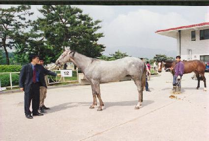 ���� ����