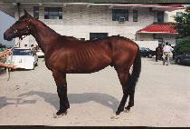 �뺹 (TAEBOK) ����