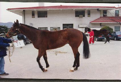 ��õ���� ����