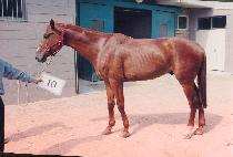 �޿��� (KKUMENDEUL) ����