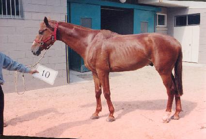 �޿��� ����