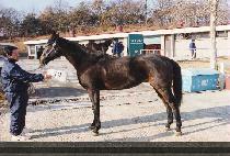 ���缺 (MANSASEONG) ����