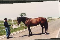 �е��ڸ� ����