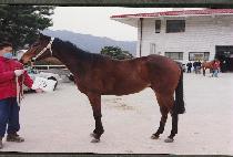 ȭ���� (HWAGWASAN) ����