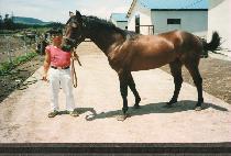 Ǫ���ʿ� (P��UREUNCH��OWON) ����