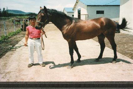 Ǫ���ʿ� ����