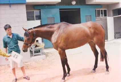 õ����ǰ ����