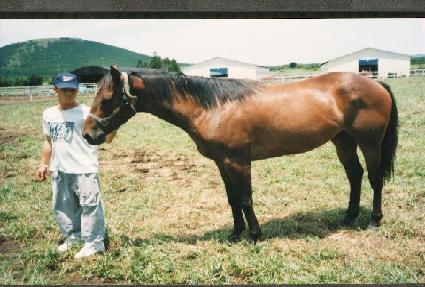 û�� ����