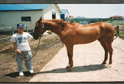 �̽��;� ����