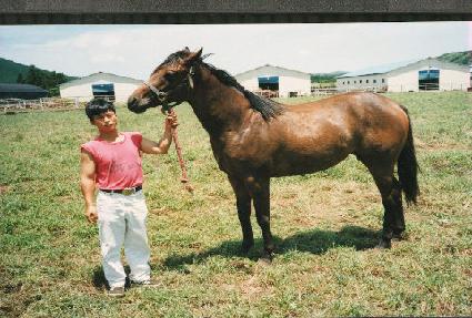 ��ȭ ����