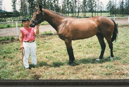 ����ǳ ����