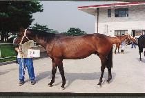 ����뱳 (SEONGSANDAEGYO) ����