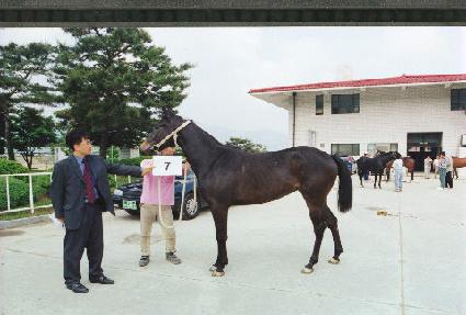 �ĵ��Ҹ� ����