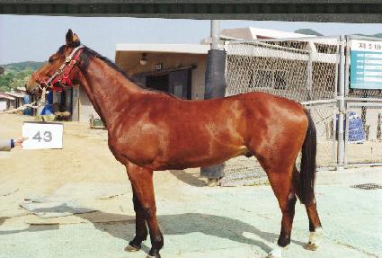 ������� ����