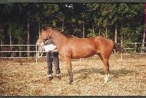 �������� (MUP��AE CHEONSEUNG) ����