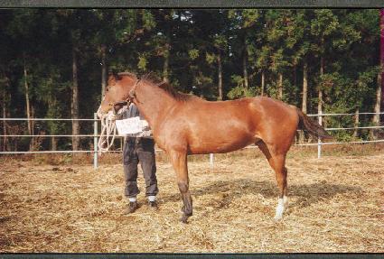 �������� ����