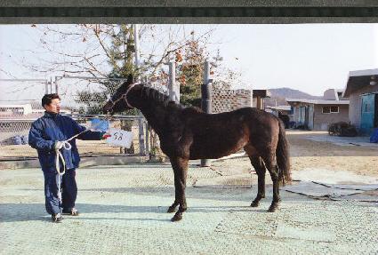 ����� ����