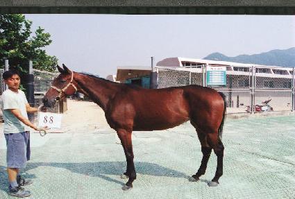 ������� ����