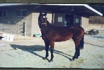 Ȱ��� (HWALGIDAN) ����