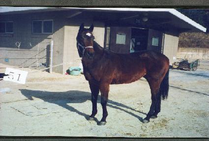 Ȱ��� ����