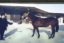 õ����� (CH��EONSANG UNJIP) ����