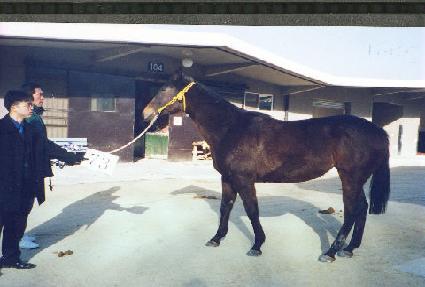 õ����� ����