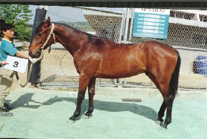 ���˽º� ����