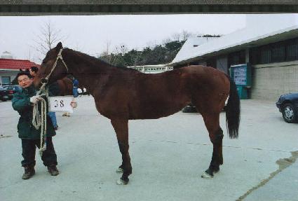 �������� ����