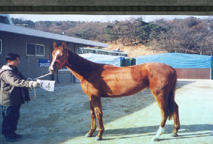 ����� ����