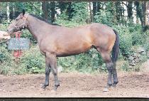 ��õ�� (YONGCH��EONJI) ����