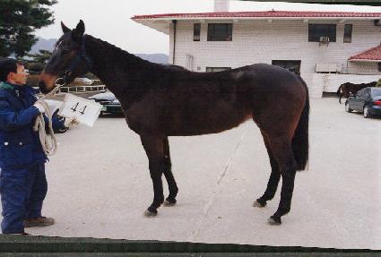 ��ä ����