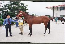 ��õ�� (YONGCH��EON-GEOM) ����