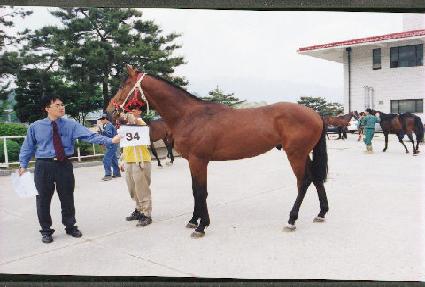 ��õ�� ����