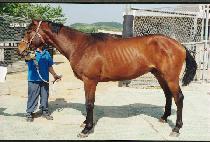 û���� (CH��EONGSAJIN) ����