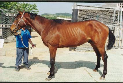 û���� ����