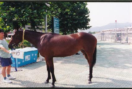 �븶��� ����