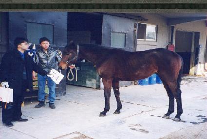 ������ ����