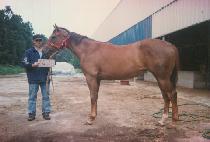 ȭ����ź�� (HWARYEOHANTANSAENG) ����