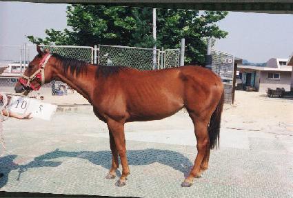 �뱤�� ����