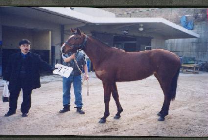 ��ȭ ����