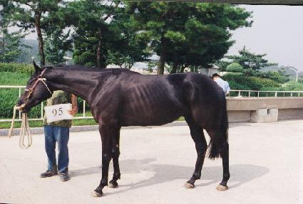 ȣ���� ����