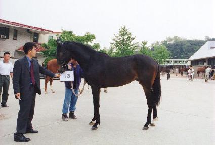 �¸���ȭ ����