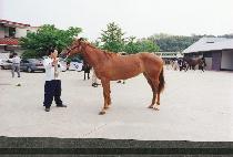 �����ܽ� (ILP��YEONDANSHIM) ����