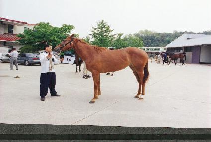 �����ܽ� ����