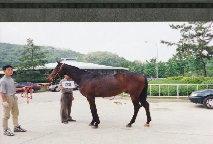 �Ŵܼ� ����