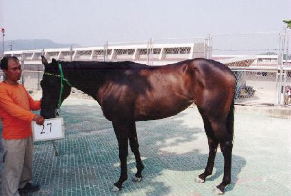 �ڴ� ����