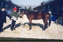 ����ġ (SURICH��I) ����