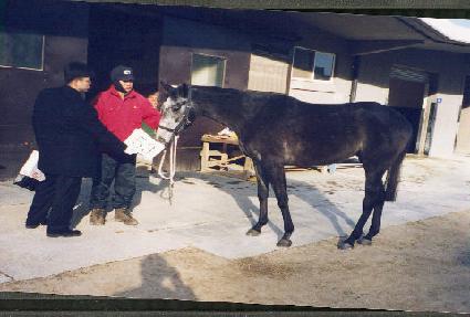 ��վ� ����