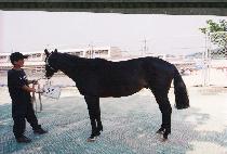 �޿� (TARYONG) ����