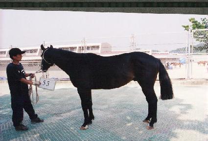 �޿� ����